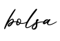 单词bolsa书写