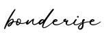 单词bonderise书写