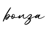 单词bonza书写