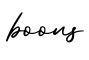 单词boons书写