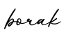 单词borak书写