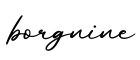 单词borgnine书写