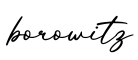 单词borowitz书写