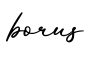 单词borus书写