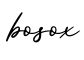 单词bosox书写