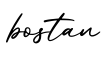 单词bostan书写