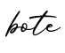 单词bote书写