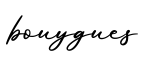 单词bouygues书写