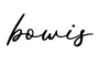单词bowis书写
