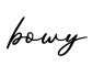 单词bowy书写
