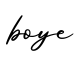 单词boye书写