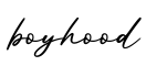 单词boyhood书写