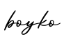 单词boyko书写
