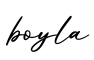 单词boyla书写