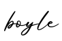 单词boyle书写