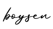 单词boysen书写