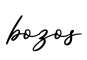 单词bozos书写