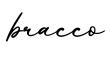 单词bracco书写