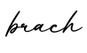 单词brach书写