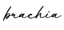单词brachia书写