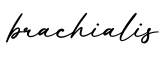 单词brachialis书写