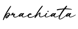 单词brachiata书写