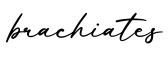 单词brachiates书写