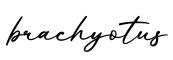 单词brachyotus书写