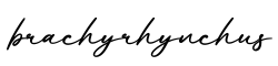 单词brachyrhynchus书写