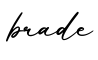 单词brade书写