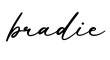 单词bradie书写