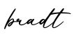 单词bradt书写