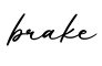 单词brake书写