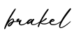单词brakel书写