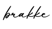 单词brakke书写