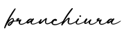 单词branchiura书写