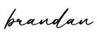 单词brandan书写