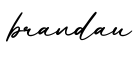 单词brandau书写