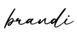 单词brandi书写