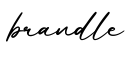 单词brandle书写