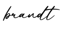 单词brandt书写