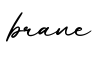 单词brane书写