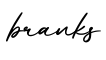 单词branks书写