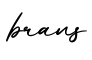 单词brans书写