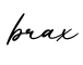 单词brax书写