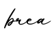 单词brea书写