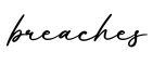 单词breaches书写