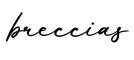 单词breccias书写