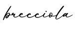 单词brecciola书写