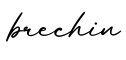 单词brechin书写